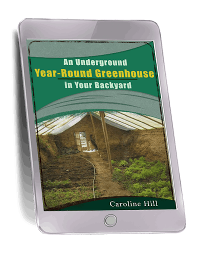 The Lost SuperFoods Bonus